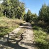 Lipnica Wielka-Babia Góra-Lipnica Wielka