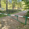 Lipnica Wielka-Babia Góra-Lipnica Wielka