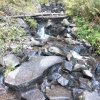 Lipnica Wielka-Babia Góra-Lipnica Wielka