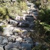 Lipnica Wielka-Babia Góra-Lipnica Wielka