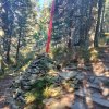 Lipnica Wielka-Babia Góra-Lipnica Wielka