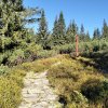 Lipnica Wielka-Babia Góra-Lipnica Wielka