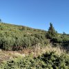 Lipnica Wielka-Babia Góra-Lipnica Wielka