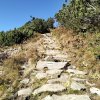 Lipnica Wielka-Babia Góra-Lipnica Wielka