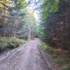 Lipnica Wielka-Babia Góra-Lipnica Wielka