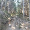Lipnica Wielka-Babia Góra-Lipnica Wielka