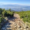 Lipnica Wielka-Babia Góra-Lipnica Wielka