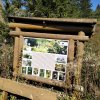 Lipnica Wielka-Babia Góra-Lipnica Wielka