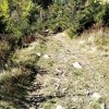 Lipnica Wielka-Babia Góra-Lipnica Wielka
