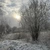 fot.Bożena;"Zimowy poranek"
