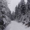Z Jazowska na Koziarz;autor:Waldemar