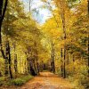 fot.Klaudia;"Ścieżka rowerowa w Jazowsku"