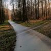 fot.Piotr;"Lasek w Jazowsku"