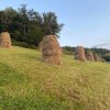 fot.Zosia;"Łazy Brzyńskie"