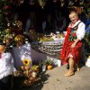 Owocobranie 2016